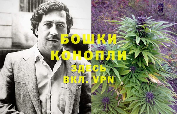 гашик Арсеньев