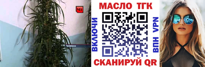 ТГК THC oil  закладки  Борзя 